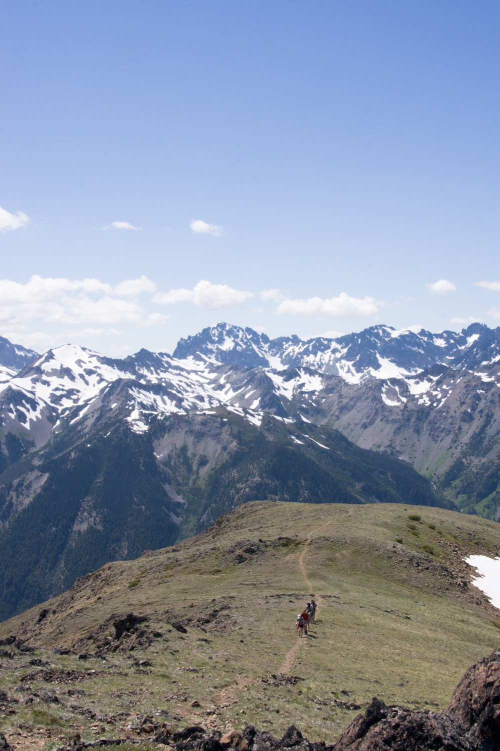 marmot-pass-trail-1